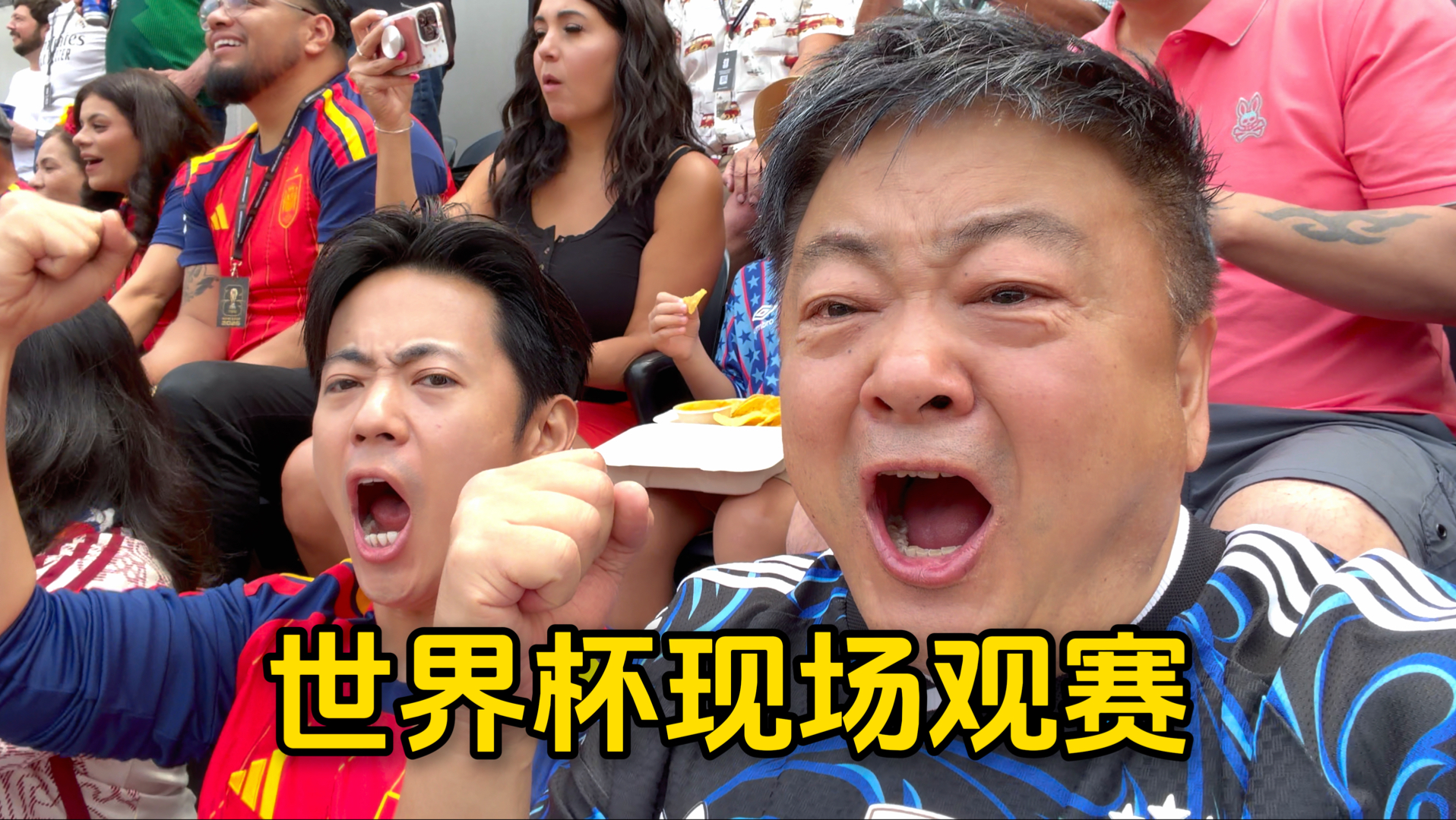 第一次现场看世界杯，感受世界各地球迷的热情欢呼