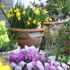 【Vlog】早春的露台花园