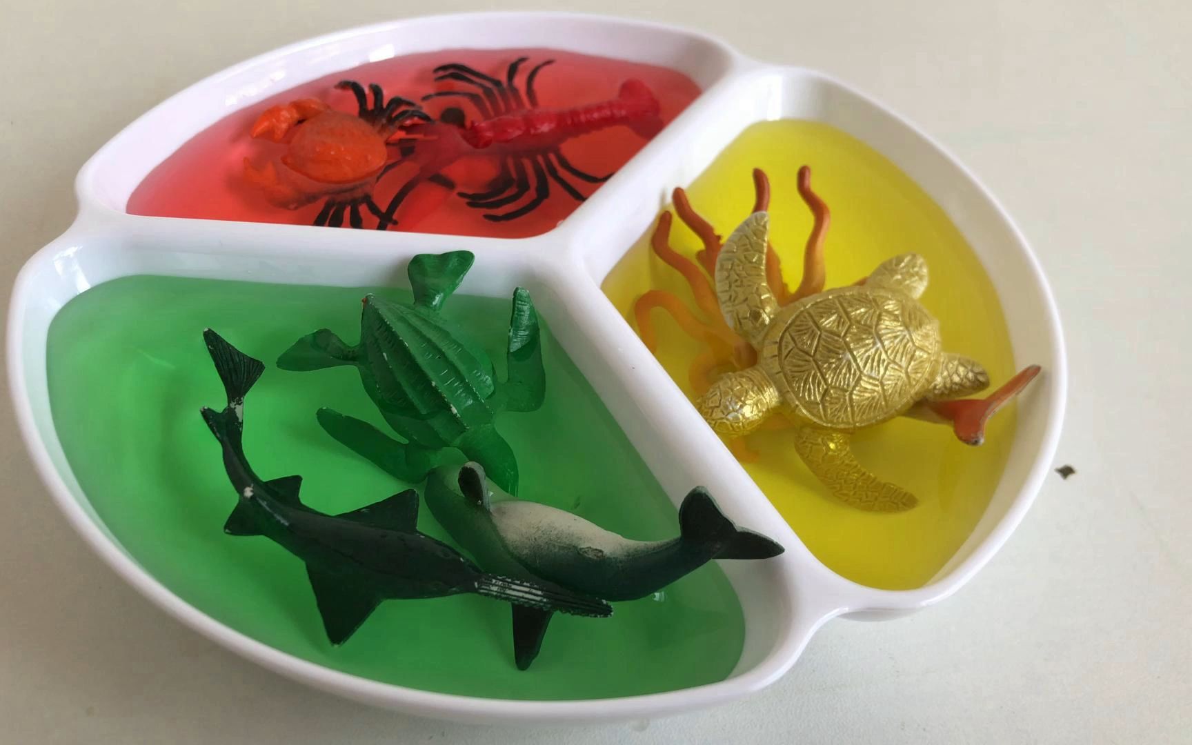 儿童早教益智玩具：彩色调色盘里的海洋动物玩具认识龙虾海龟螃蟹等