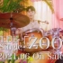 CNBLUE-12th Single「ZOOM」Teaser