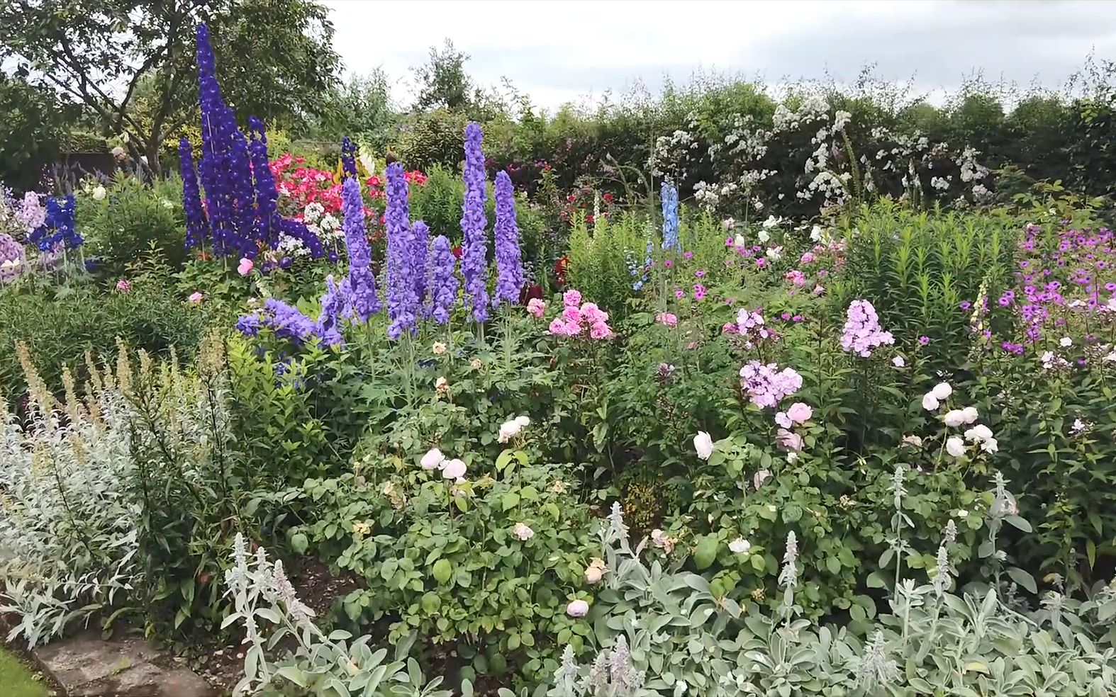 Gardens of Britain丨大花飞燕草、月季、各种宿根花卉的高光时刻丨Wollerton Old Hall Garden