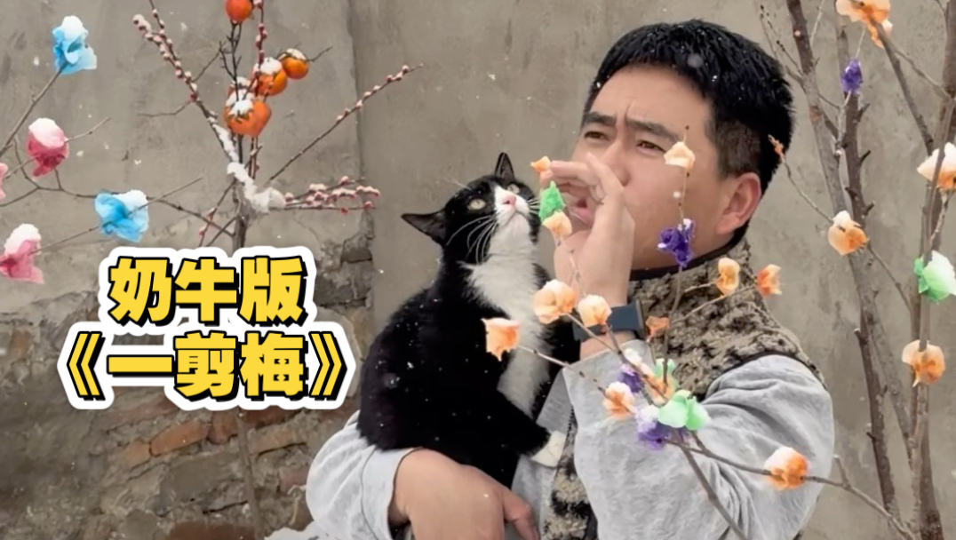 关于我老公想拍个雪景MV被我拒绝后 莫名其妙的一天