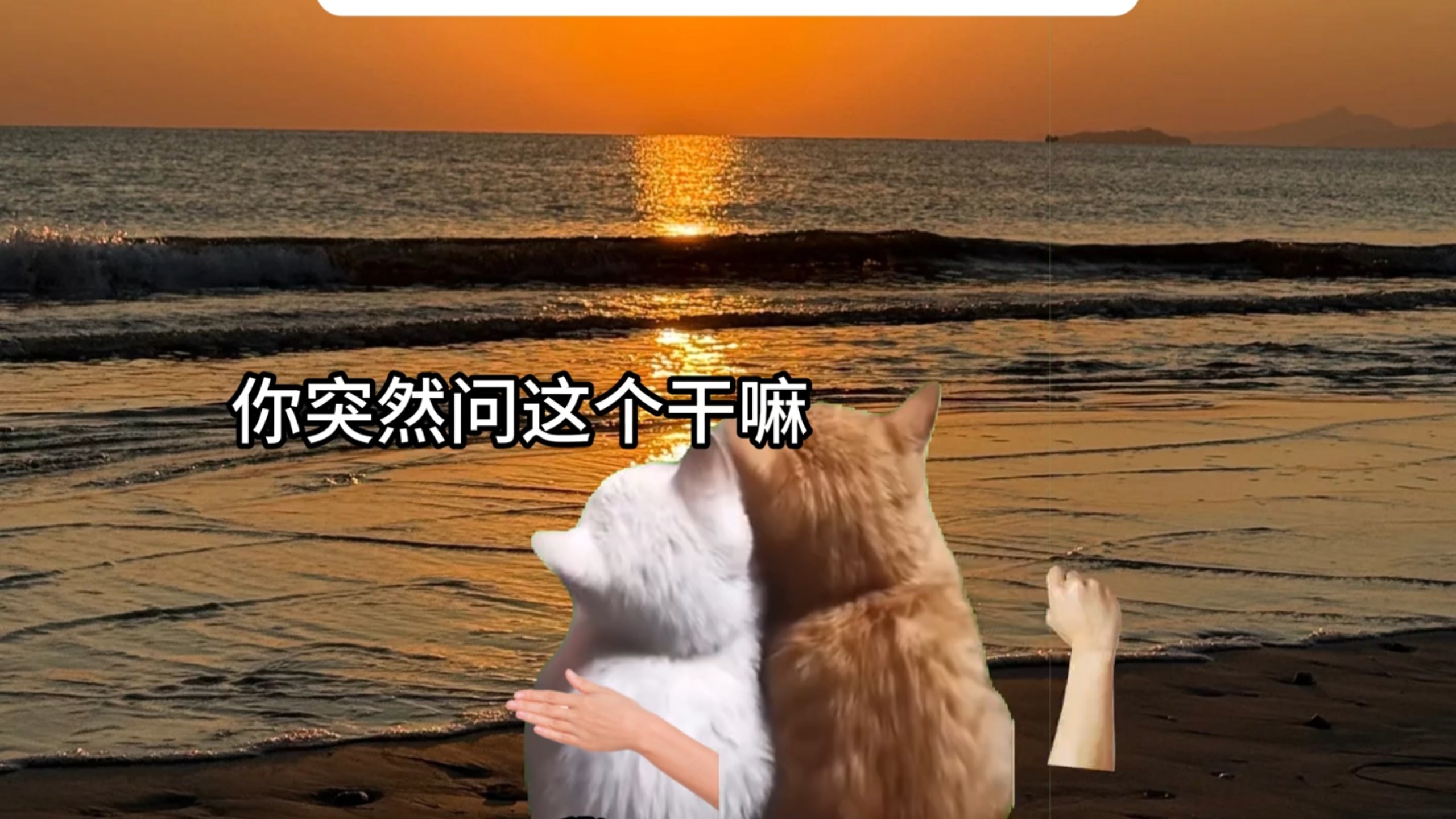 当你的兄弟突然变正常时