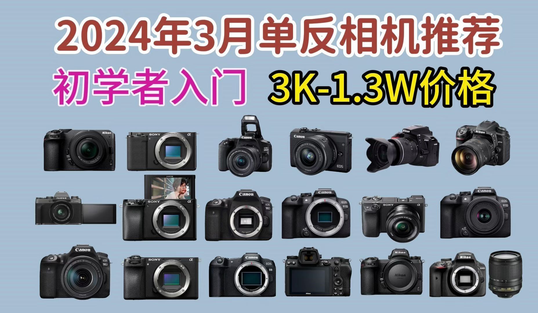单反推荐】2024年3月高性价比新手小白 初学者 入门级单反推荐，3K-1.4W价位 只选对的 不选贵的，轻松挑选适合自己的相机！