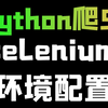 Python selenium安装 环境配置教学