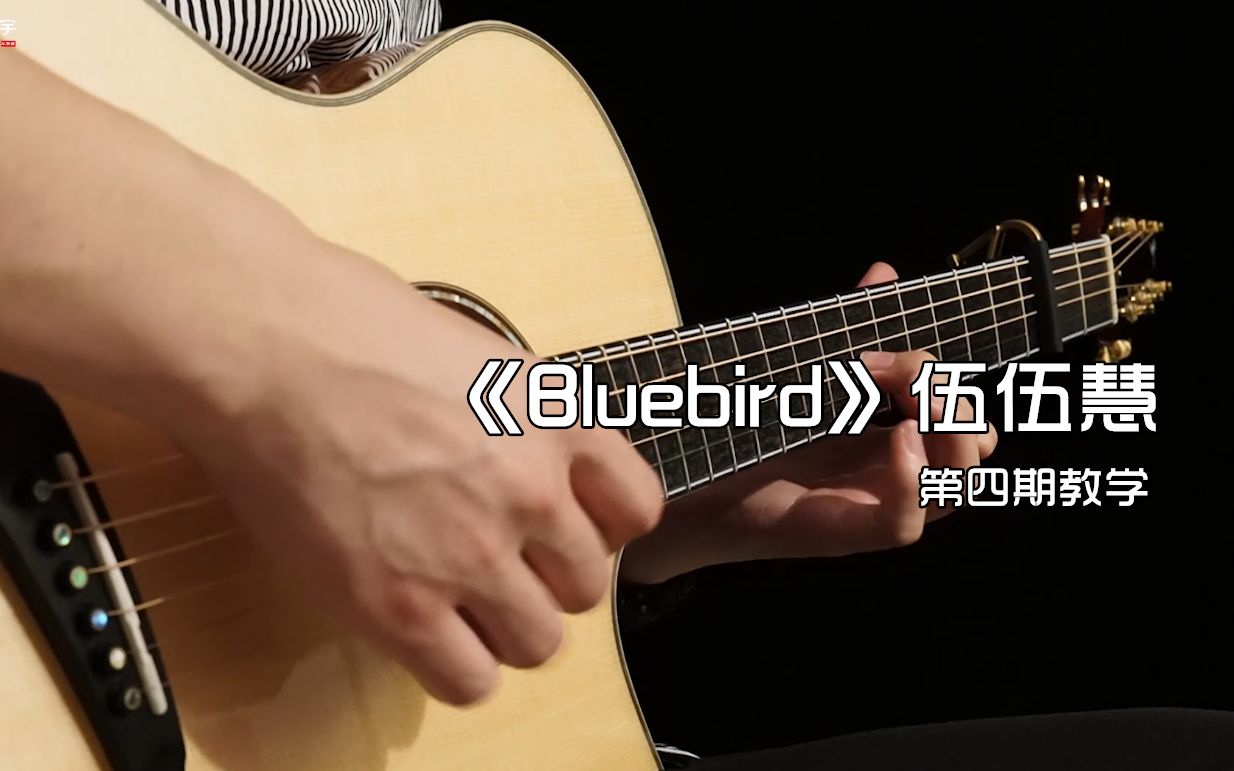 指弹翻弹| 伍伍慧经典作品《Bluebird》（附谱&教学） - 哔哩哔哩
