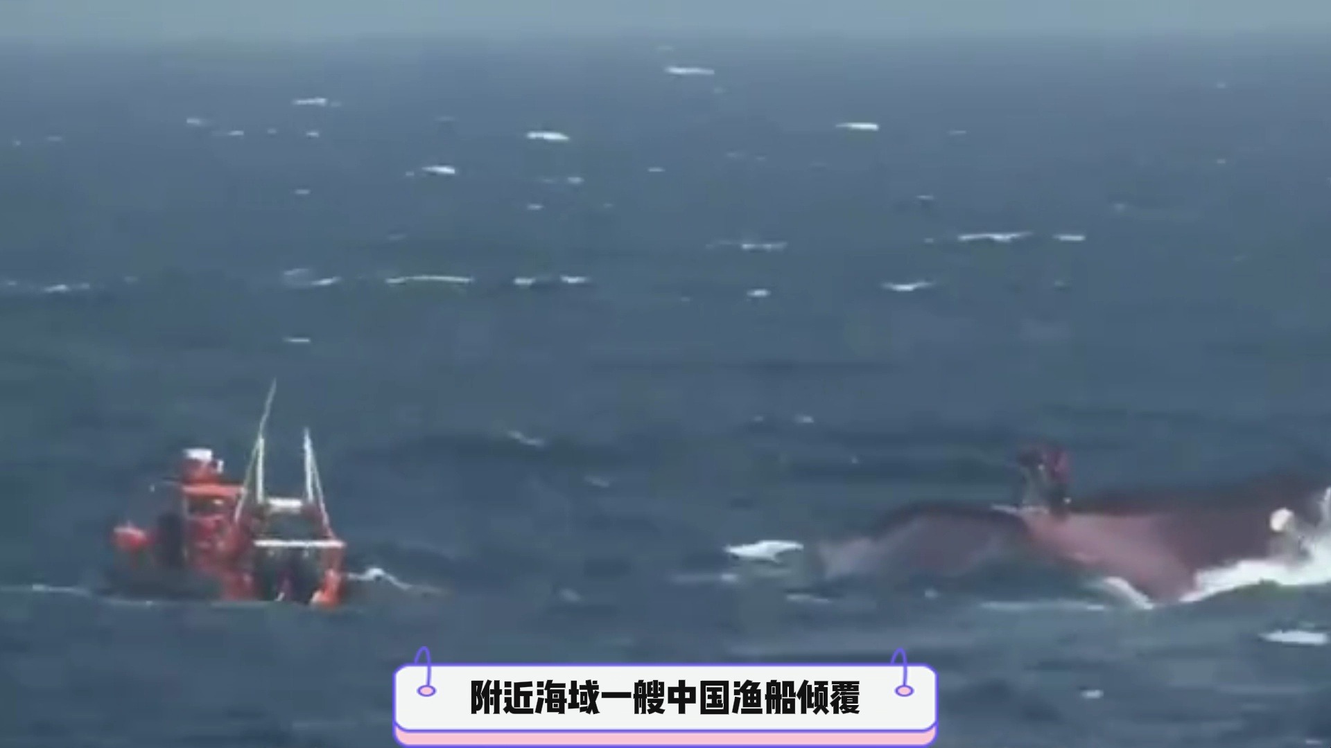 11月9日社会新闻热点事件速览，量大管饱