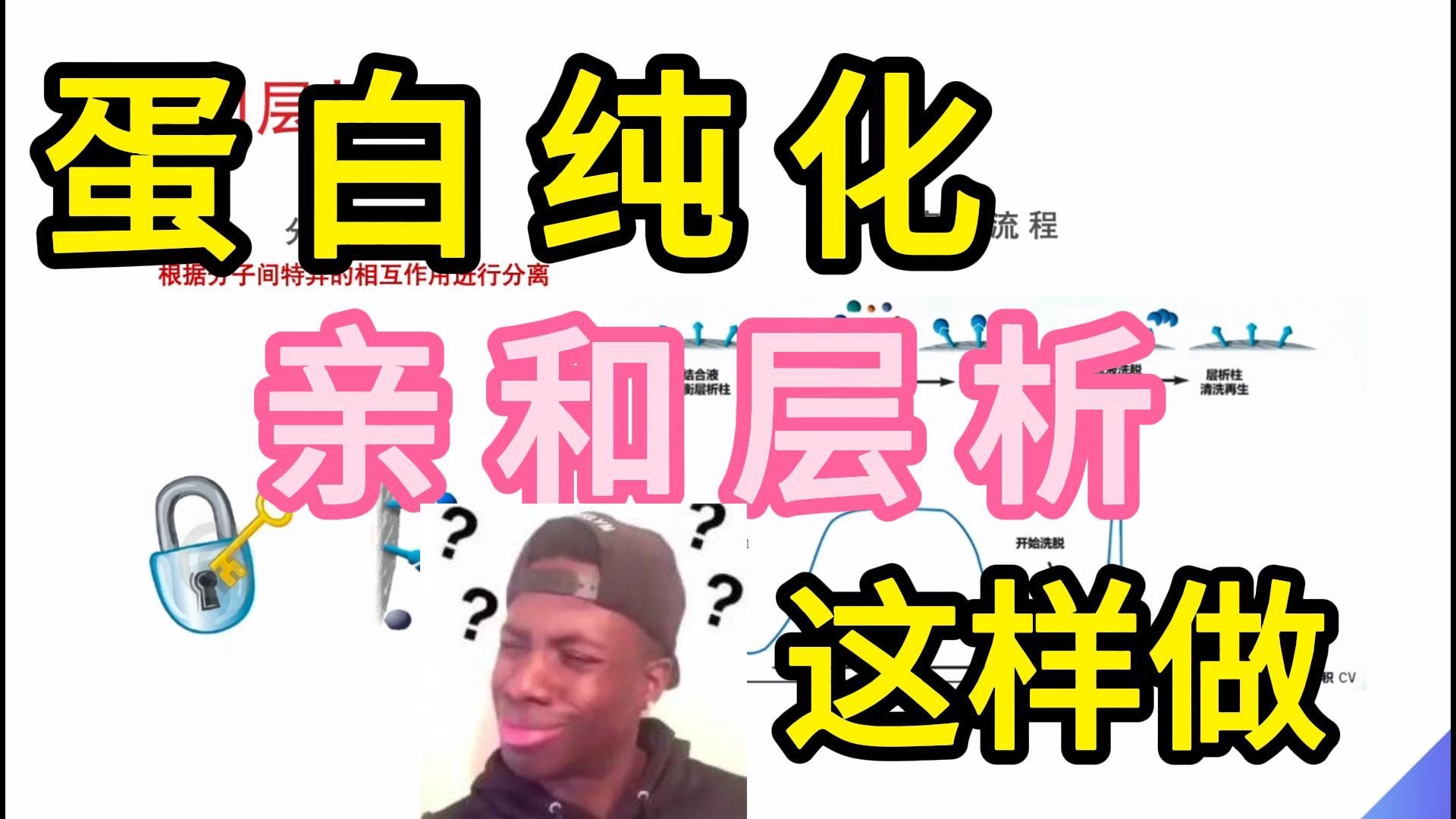 亲和层析纯化原理&实验流程