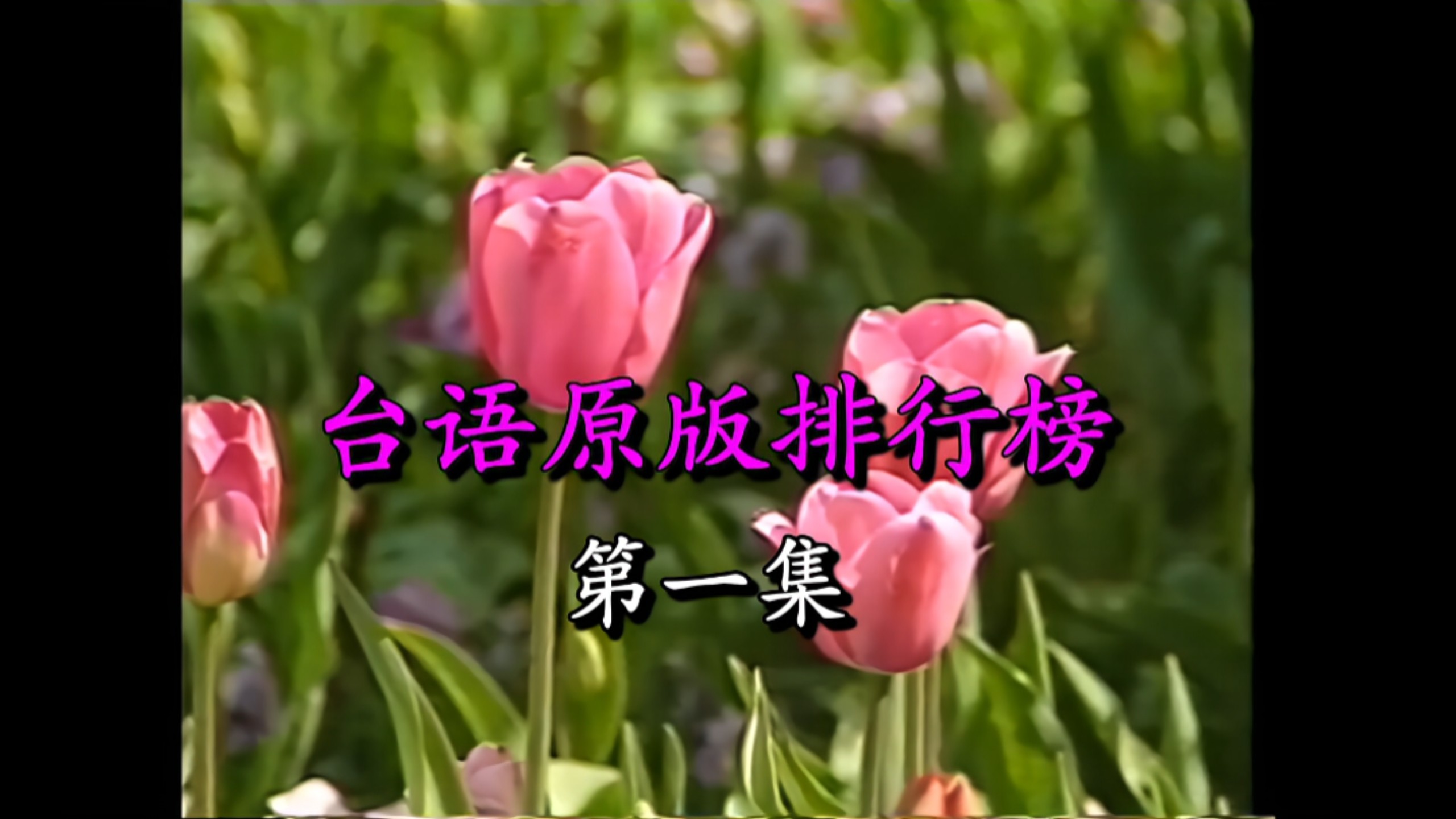 Fong, Yi-Ping. Gao Xiangpeng. Long Qianyu. Huang Si-ting. Chengfeng] "Taiwanese Original Charts Episode 1" (Haoji Records/VHS Transcription)