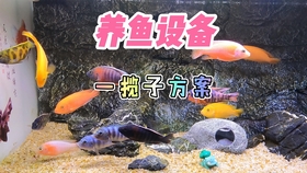 fe2a8ba16d83f00a3c016f200e027dc7b0e701c3.jpg@280w_158h_1c_100q.jpg