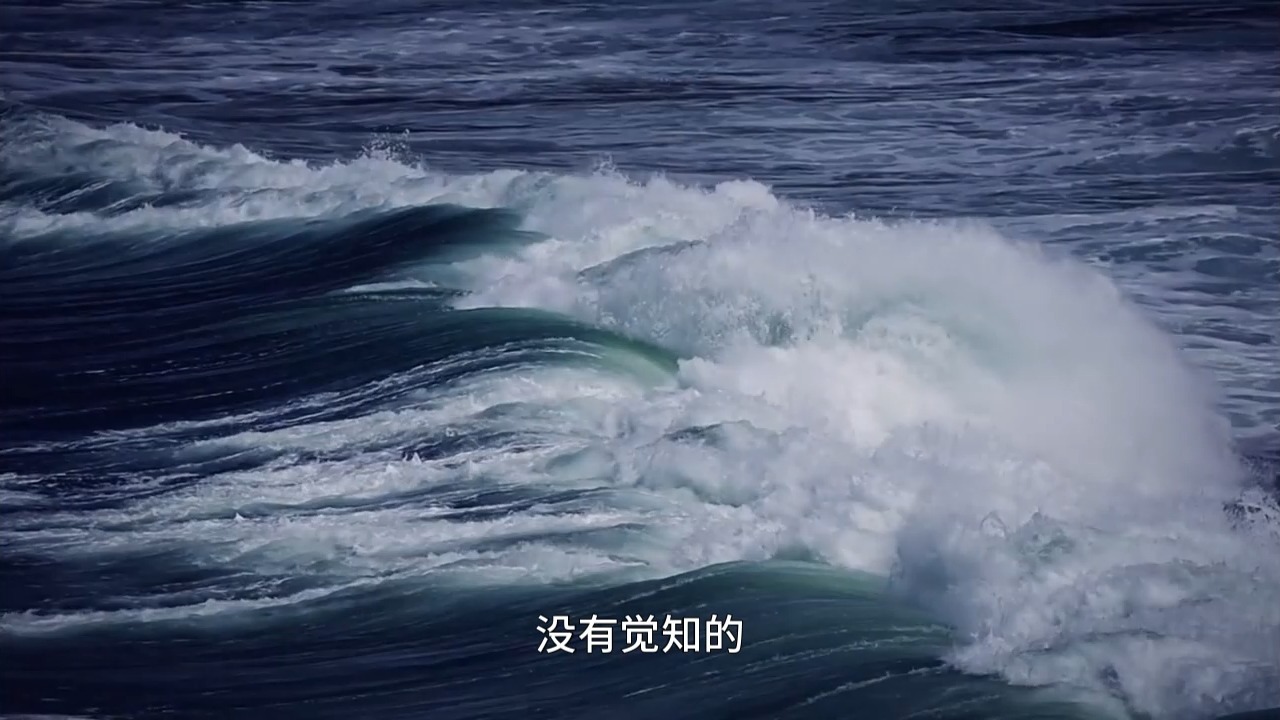 最适合普通人的一个日常实修练习！帮你解脱负面情绪，保持觉知，回到当下！