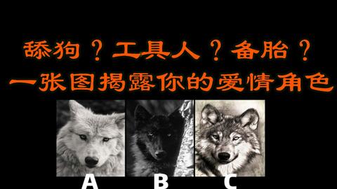 fe416e4994977b2e922cd790de36cbe7da95daef.jpg@480w_270h_1c