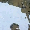 蝌蚪窝