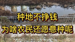 fe61f8338520cd5ecb6330ff9a5dba339be15161.jpg@310w_174h_1c_100q.jpg