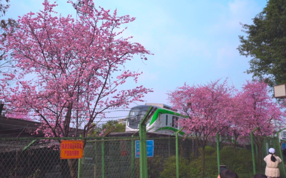 重庆，开往春天的列车浪漫相遇