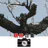 【瞎拍合集】尼康zfc+Z18-140 自制尼康机内低饱和曲线预设JPEG直出