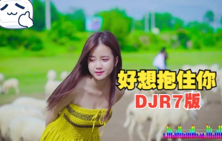 好想抱住你djr7版程佳佳