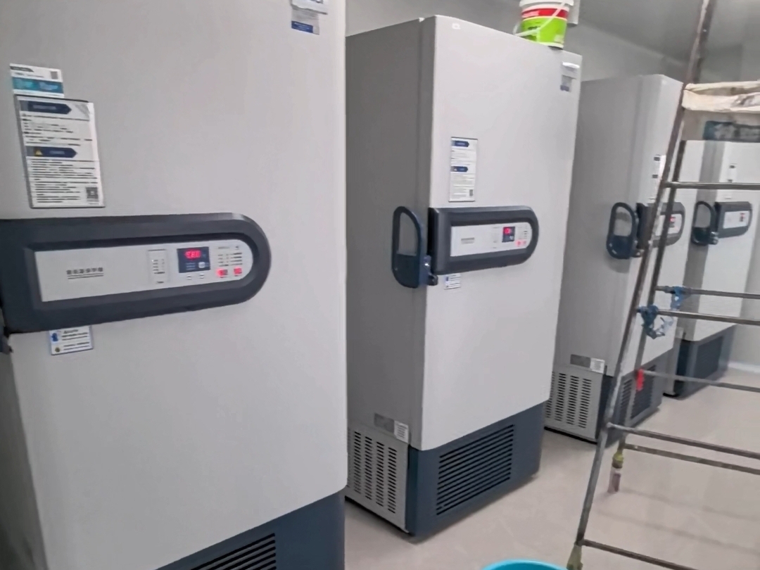 当我的学生试图把干冰藏进-80℃冰箱……