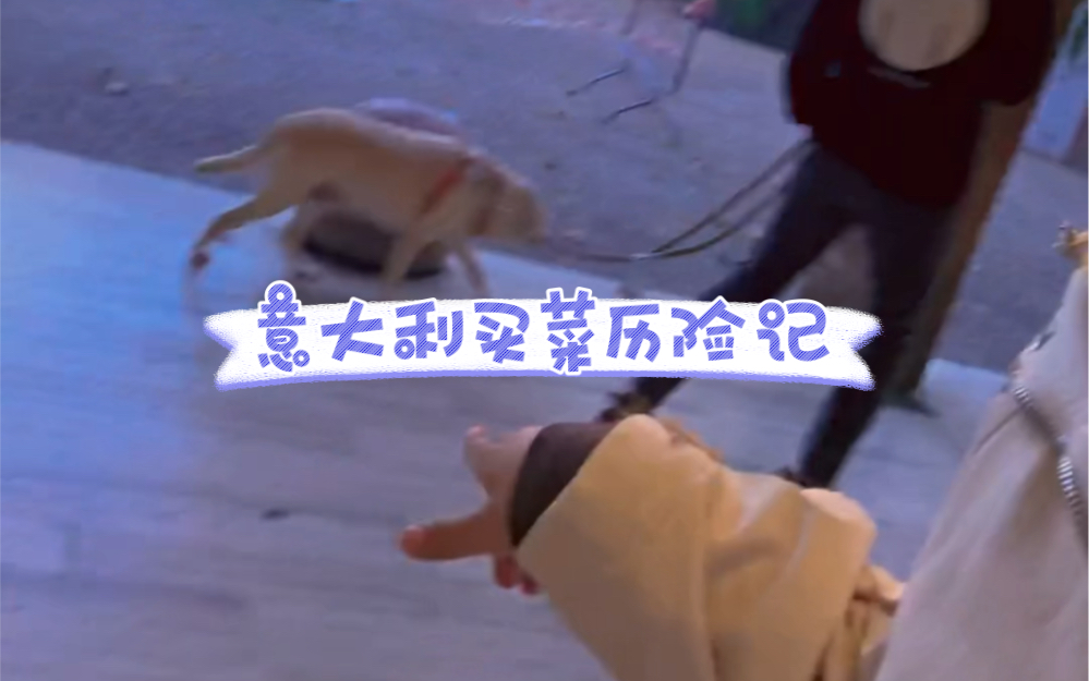意大利买菜历险记！请务必看后面的部分！
