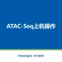 第六讲——ATAC-seq上机操作