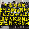 加拿大毒贩判处死刑！美加法德澳：222千克冰毒也不能死刑呀