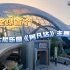上海迪士尼有新展区了！全球首个迪士尼乐园《阿凡达》展览来啦！快来跟我一起探索潘多拉星球~
