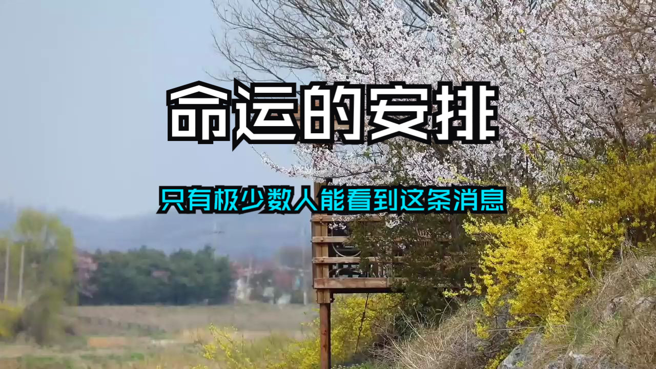 （请注意）只有极少数人能看到这条消息！这是命运的安排！