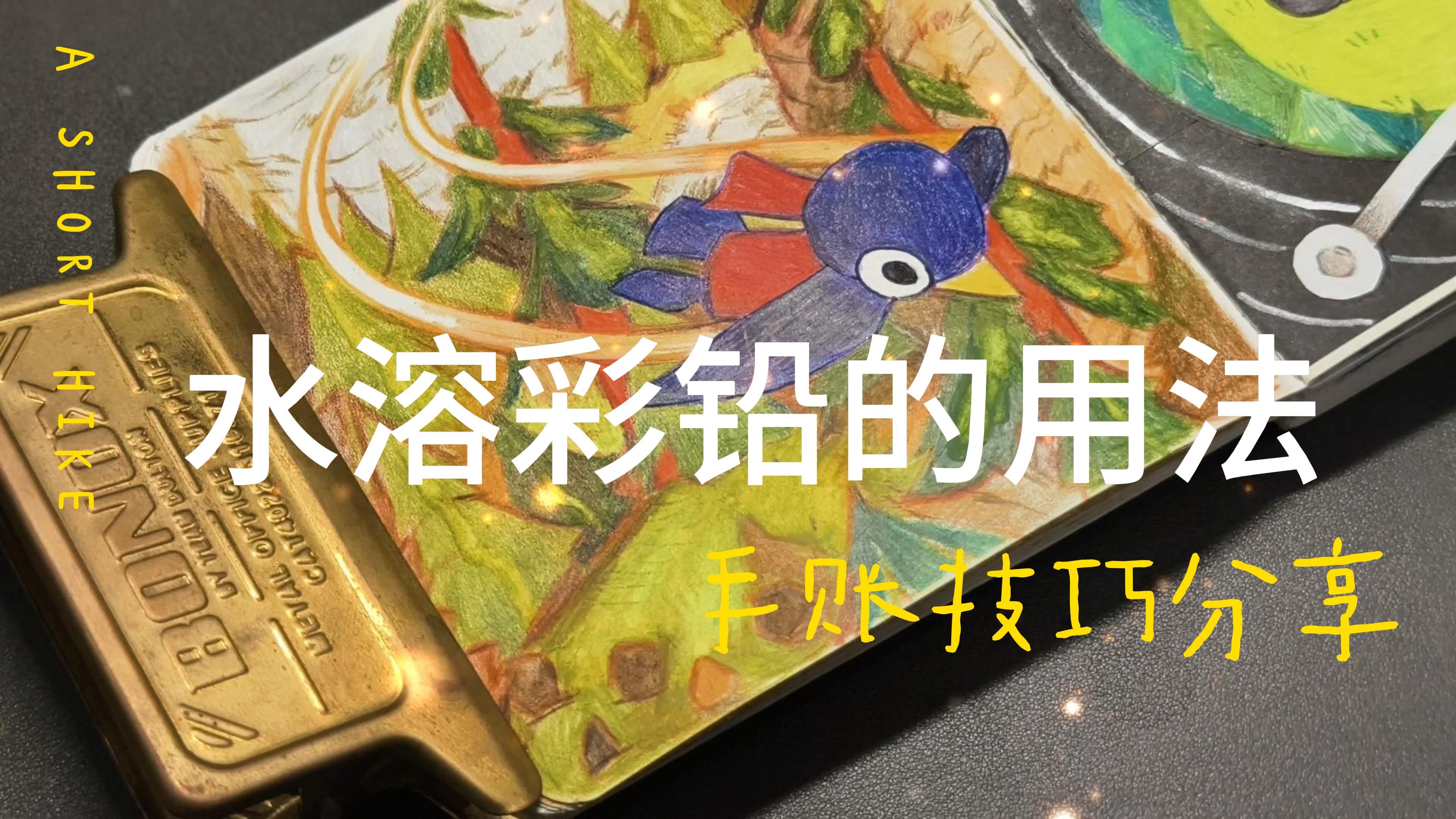 这就是我喜欢水溶彩铅的原因