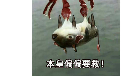 关于蟹牛的视频合集