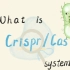 基因编辑的CRISPR/CAS系统是什么
