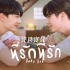 【ZeeNuNew】中泰双语 | 官方表白小甜歌 ที่รักที่รัก《宝贝宝贝》甜心派OST