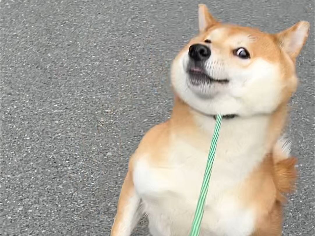 不是说，换了p绳就听话了吗？