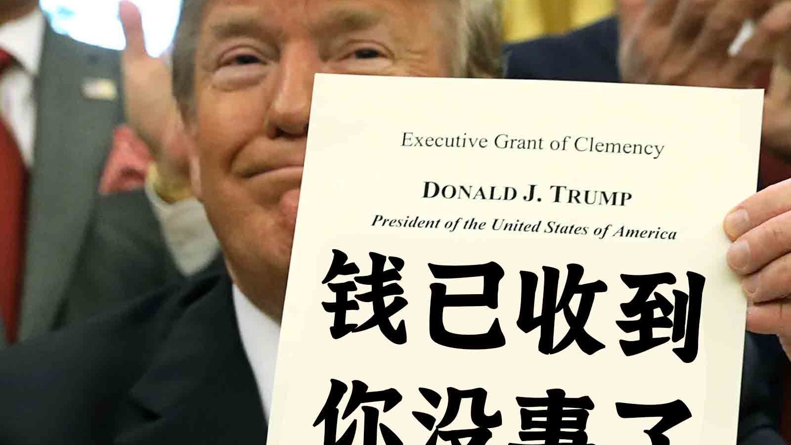 波士顿圆脸