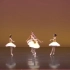 芭蕾舞剧目《天鹅湖法案》
