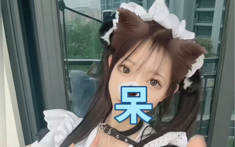 [Softie Cat Cat has become an adult] has updated a video, come and watch!