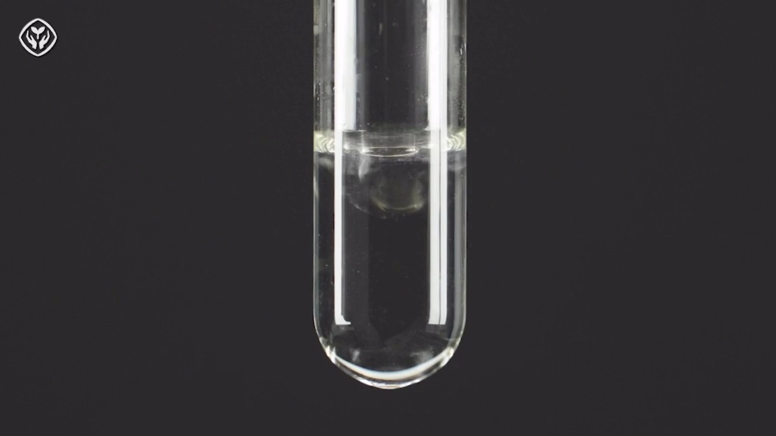 【人教版2024】10-12澄清石灰水与碳酸钠反应（初中化学）