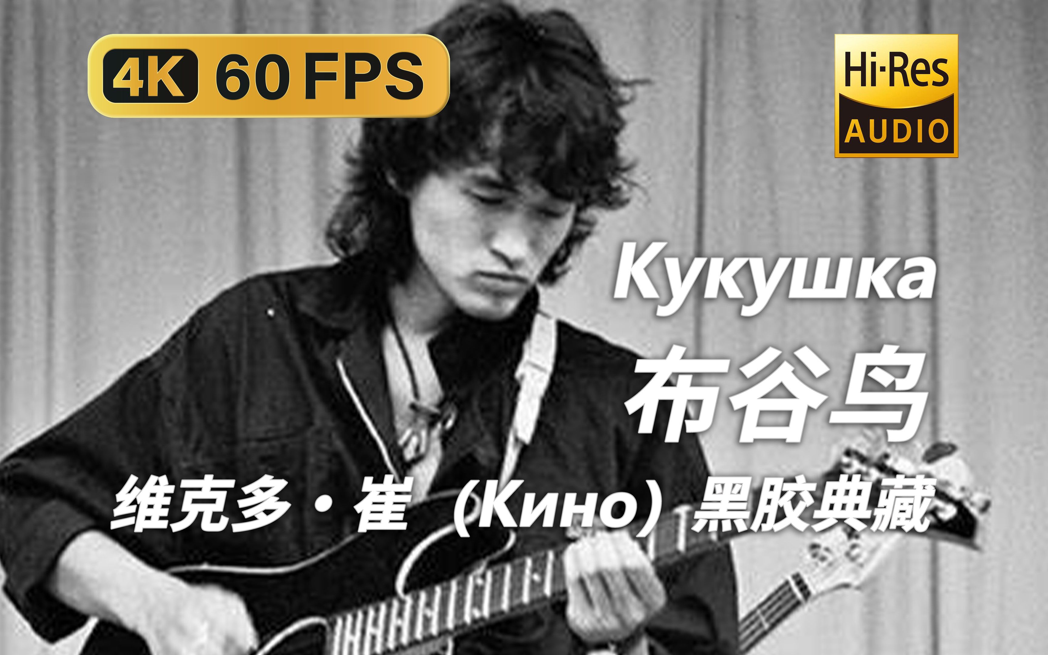 【4K Hi-Res 黑胶试听】俄乌混剪 布谷鸟 Кукушка 维克多崔（Кино）音乐典藏