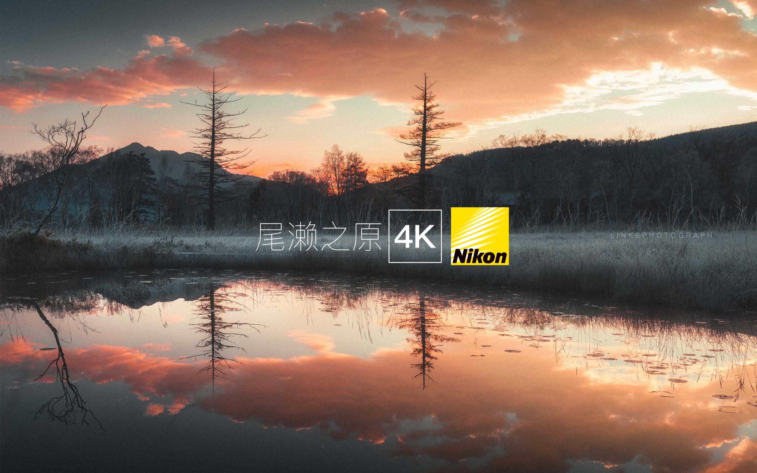 探索冰河时期的秘境 日本最大的高原湿地 | 带着尼康Z6一起去旅行