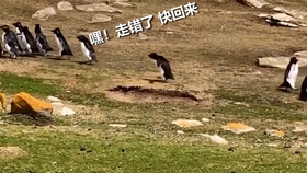 俄罗斯经济总量为何这么低_俄罗斯经济分布图