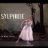 【舞蹈鉴赏】第三期——浪漫主义芭蕾舞剧《仙女》La sylphide