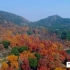 航海深秋苏州天平山，景色优美环境秀丽，秋游好地方！