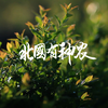 《北国有神农》|   6月16日起全网同步上线！探索黑土奇观，领略神农传奇