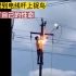 安全事故（第32期）：男子爬山电线杆捉鸟，搭上了自己的性命