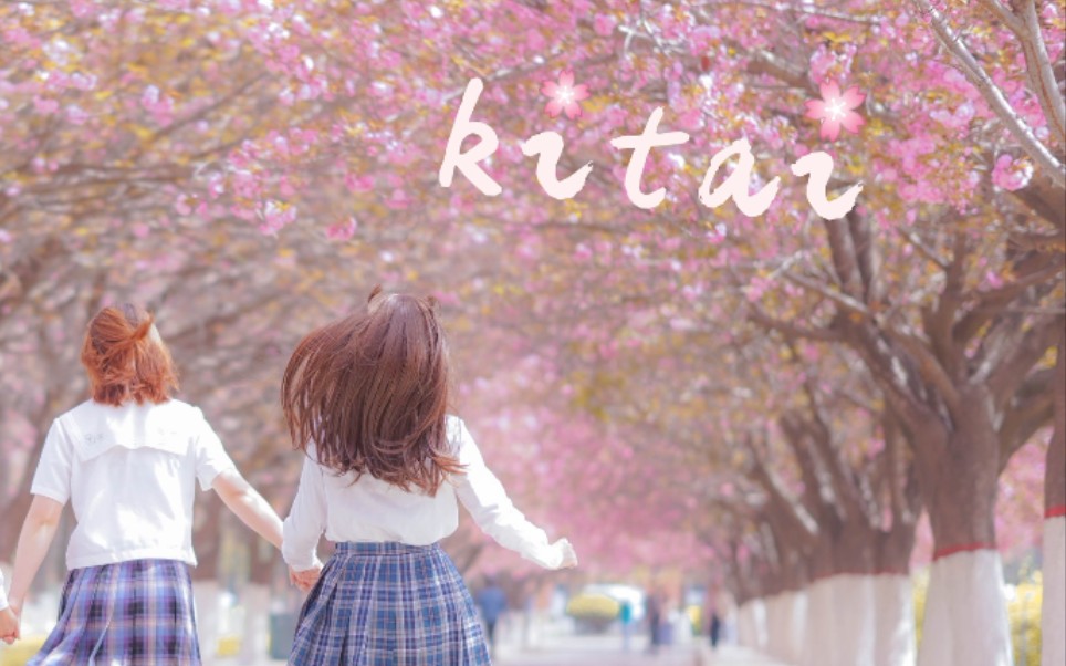 【鹤&露】♪kitai/期待～ 快来看樱花♡
