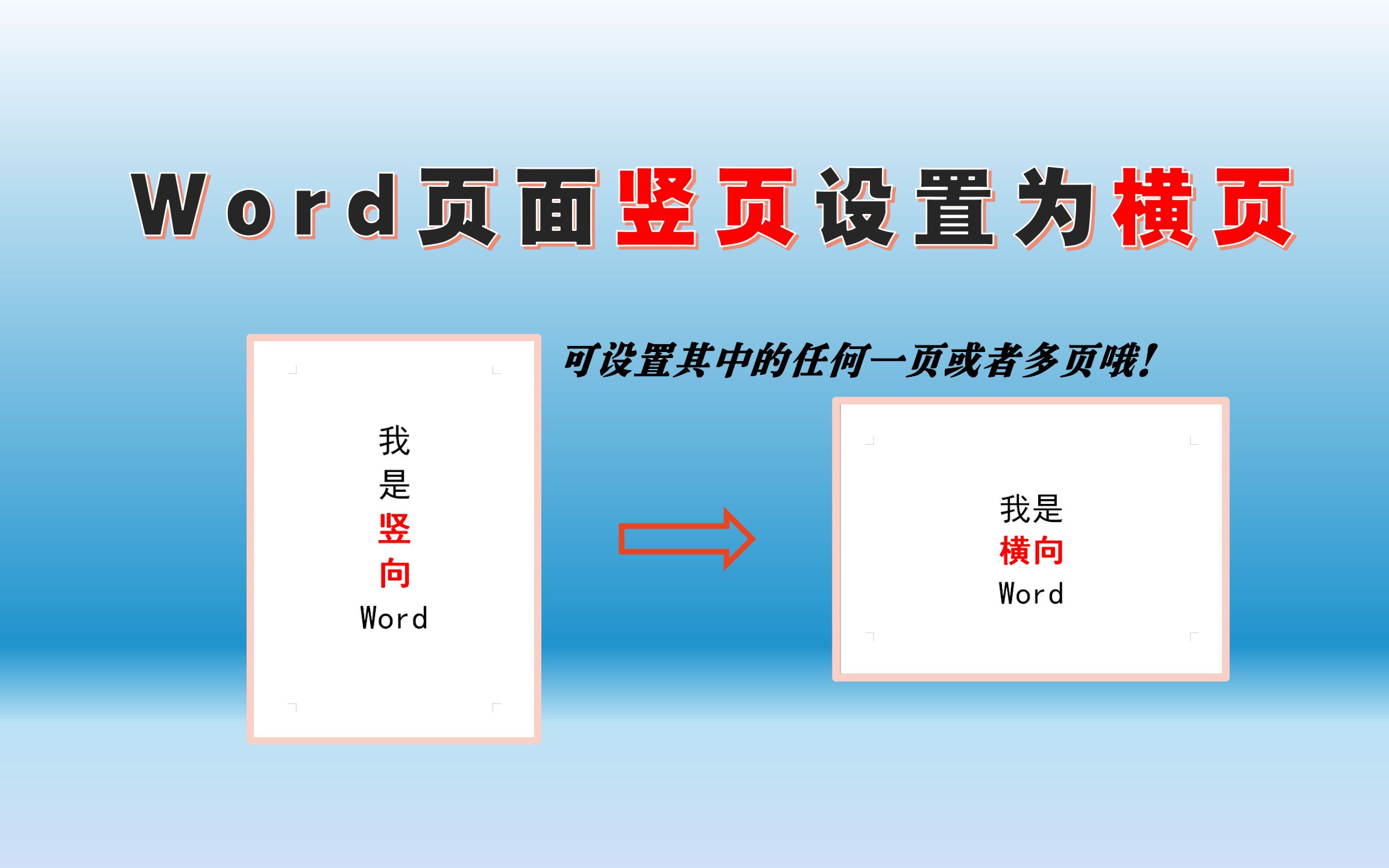 Word页面单页 多页横向设置教程 标书制作word技巧系列 哔哩哔哩 つロ干杯 Bilibili