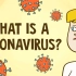 【TEDed】什么是冠状病毒？What is a coronavirus？