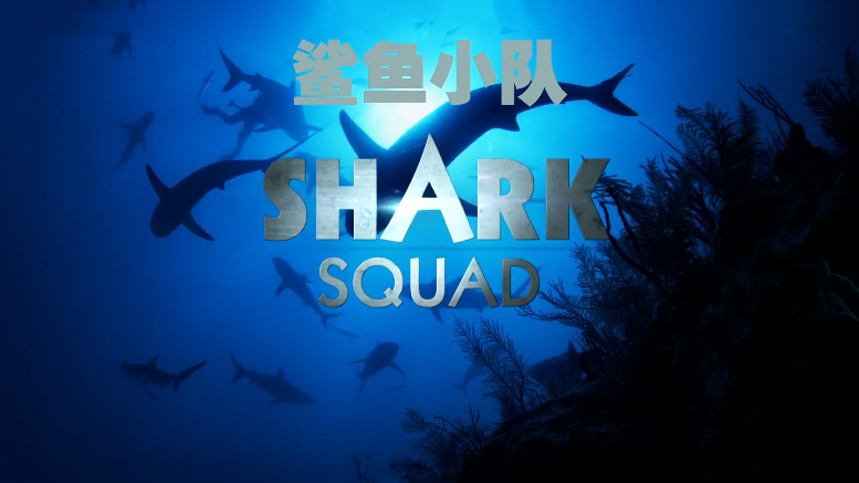 【纪录片】鲨鱼小队 Shark Squad 3