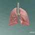 【人体器官3D建模】肺的结构和病毒在肺的增殖