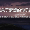 那些关于梦想的句子摘抄。“迷茫时，坚定地对自己说，当时的梦想，我还记得