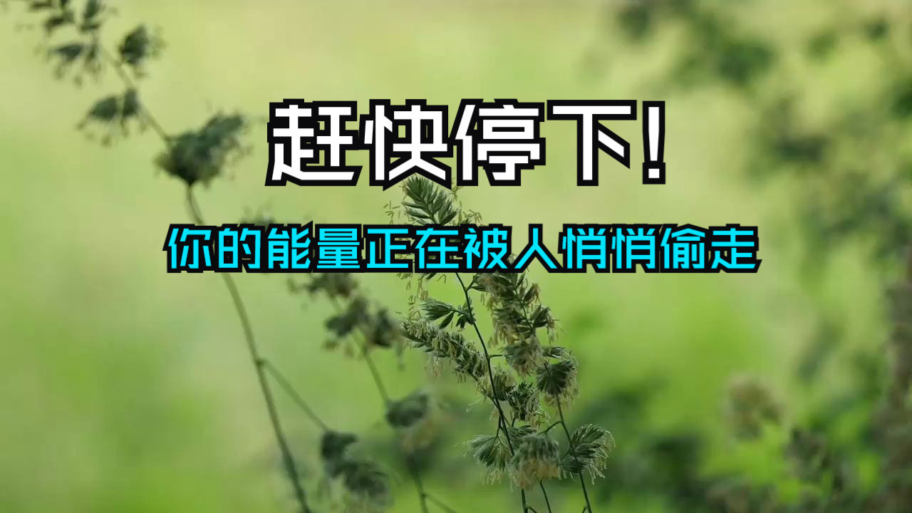 别再忽视了，你的能量正在被人悄悄偷走。赶快停下！